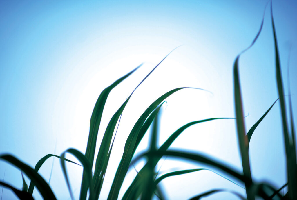 YUKAZE CALENDAR 2026 写真家 渡邉由香 掲載イメージ